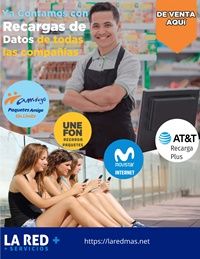 eleventa 10 PLANES DE DATOS MINI CARTA